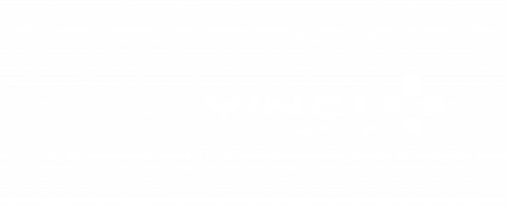 VINCI Concessions_darkbackground_RGB